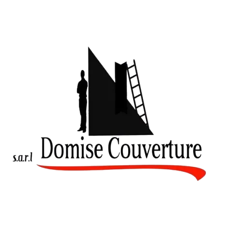 Domise_Couverture_logo